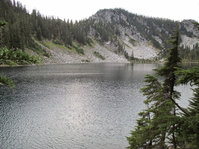 Pear Lake Large