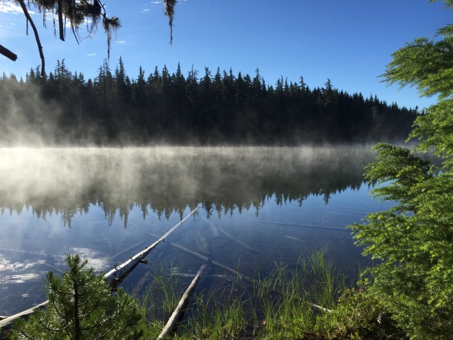 2016-07-23 07.40.25-1