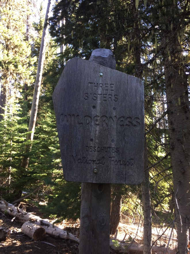 2016-07-23 09.12.41-1