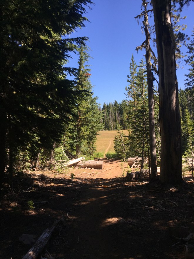 2016-07-24 11.03.03-1