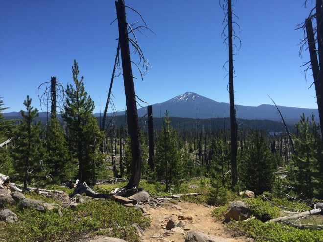 2016-07-24 11.40.51-1