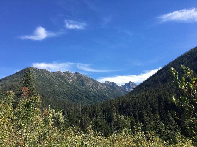 must-south-fork-junction-view