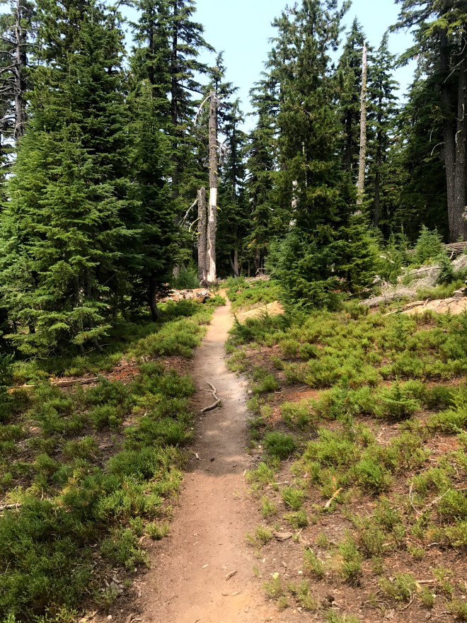 IMG_0312 (Edited).JPG