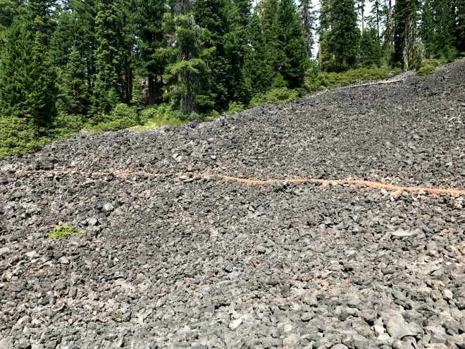 IMG_0332 (Edited).JPG