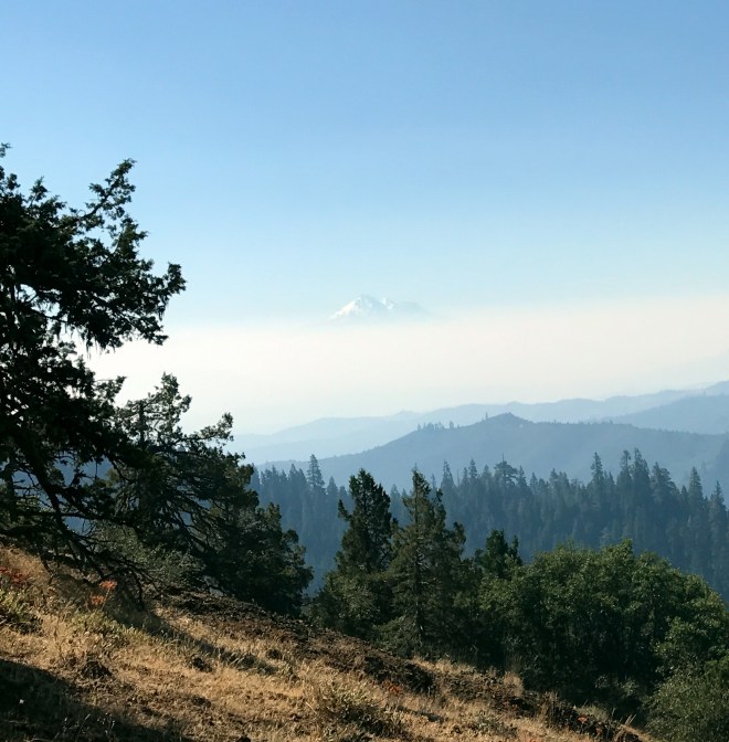 IMG_0335 (Edited).JPG