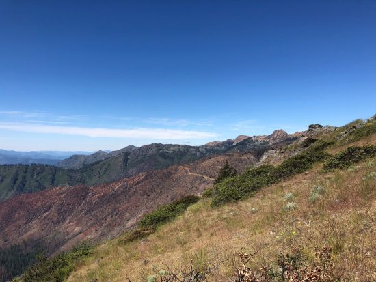 Cook-and-Green-Pass-550x413